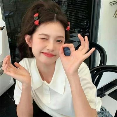 高卢英雄大战维京海盗