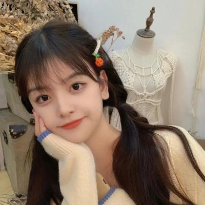 海军罪案调查处第二十二季